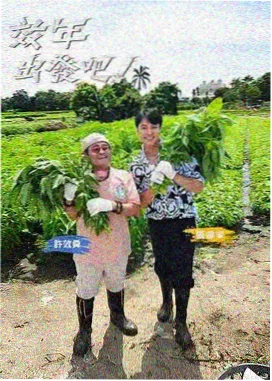 圆桌派人文谈话节目海报